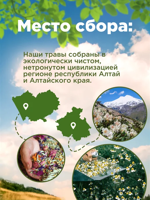 Родные травы Ромашка цельная Алтай (банка) (100гр), 100 г, фото 2