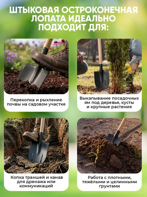 CLIM ART Лопата штыковая садовая остроконечная с черенком, черный, фото 2