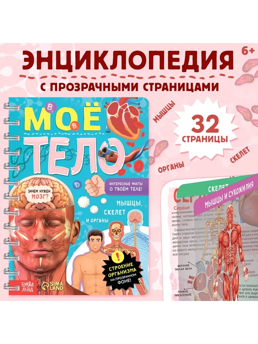 Энциклопедия с прозрачными страницами «Моё тело», 32 стр.