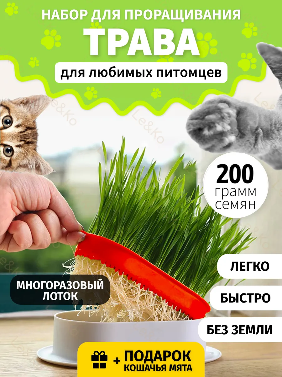 Трава для кошек семена смесь