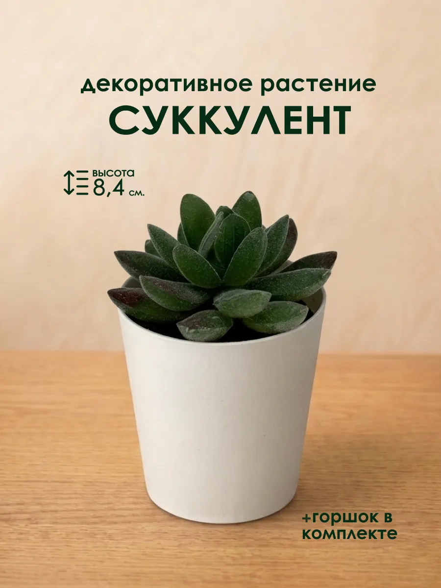 Декоративное искусственное растение Суккулент в горшке 9 см