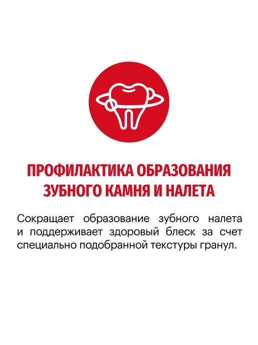 Сухой корм KARMY для собак, средние, телятина, 14 кг, фото 2