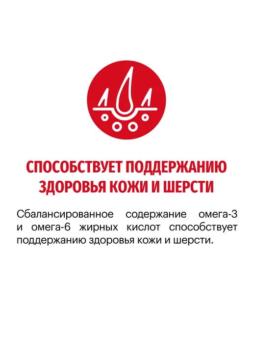 Сухой корм KARMY для собак, средние, телятина, 14 кг, фото 3
