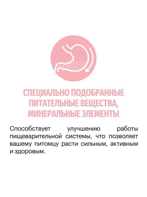 Сухой корм KARMY Delicious для собак, мелкие, телятина, 10 кг, фото 3
