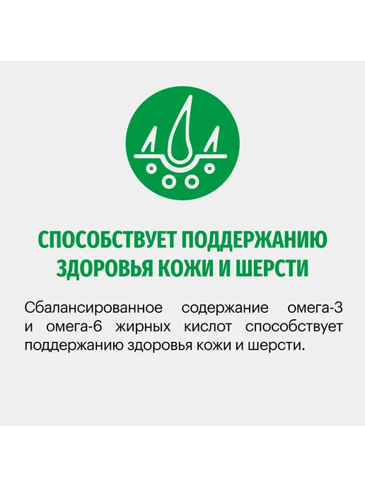 Сухой корм KARMY для собак, мелкие, телятина, 10 кг, фото 2