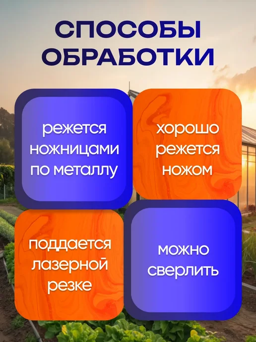 ПЭТНавес ПЭТ лист монолитный 40 м 0,3 мм, 40 м, фото 3
