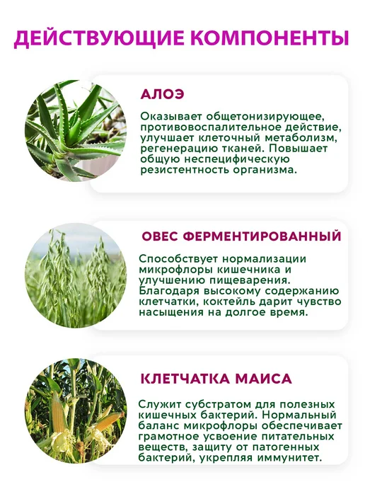 Вастэко Коктейль для Иммунитета с Кордицепсом, Алоэ, витаминами, вариант, фото 6
