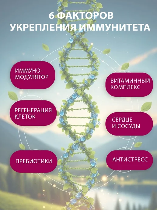 Вастэко Коктейль для Иммунитета с Кордицепсом, Алоэ, витаминами, вариант, фото 7