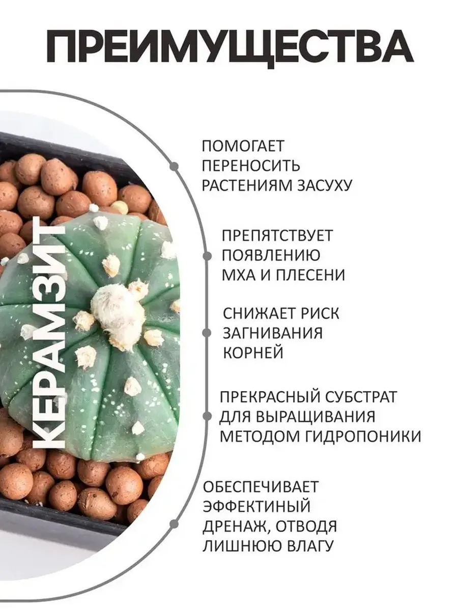 Экологичный дренаж для растений и почвы