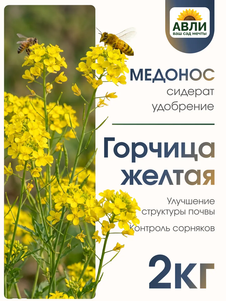 Сидерат горчица желтая семена 2 кг