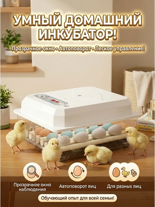 инкубатор для яиц автоматический 30, белый, фото 2