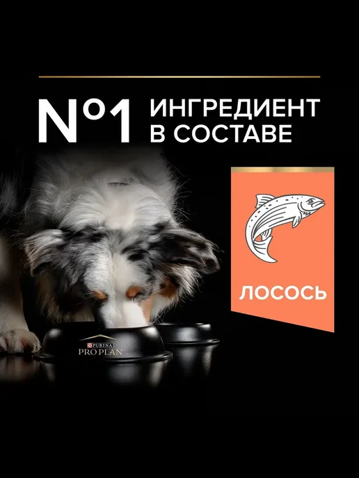 Сухой корм PRO PLAN® Skin Лосо… для собак, средние, чувствительное пищеварение, 7 кг, фото 2