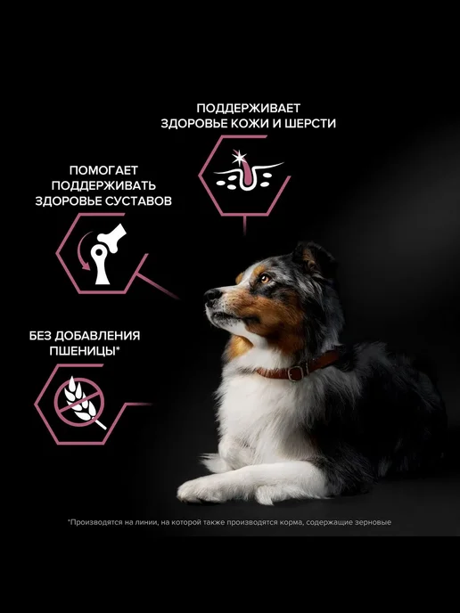 Сухой корм PRO PLAN® Skin Лосо… для собак, средние, чувствительное пищеварение, 7 кг, фото 3