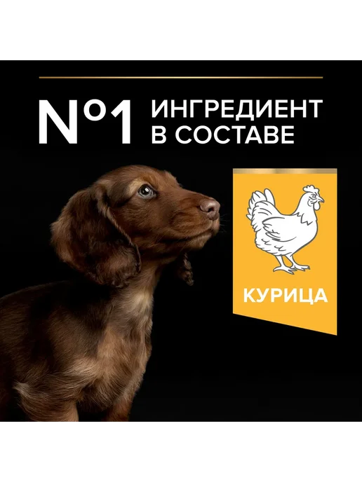 Сухой корм PRO PLAN® для собак, мелкие, щенки, курица, 0,7 кг, фото 5