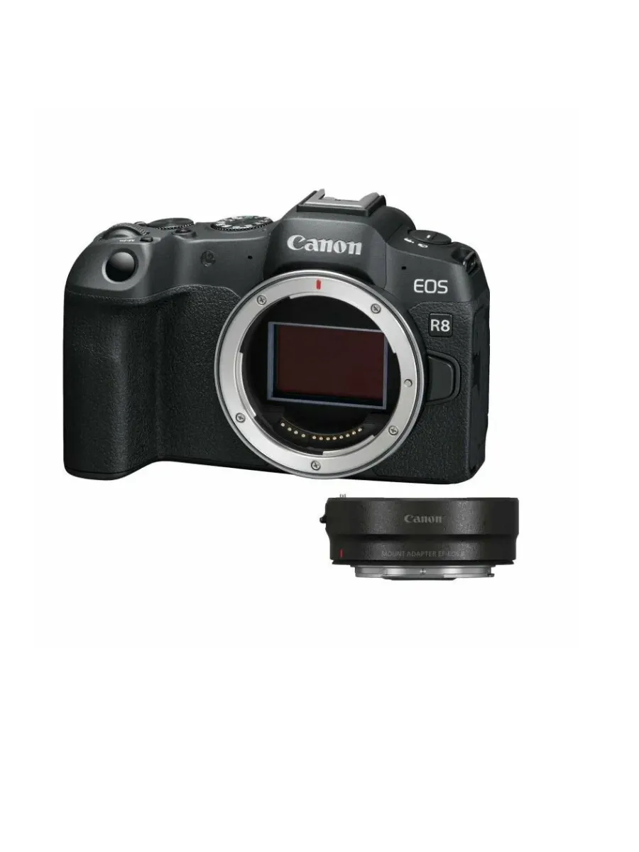 CANON Фотоаппарат EOS R8 + Mount Adapter EF-EOS R