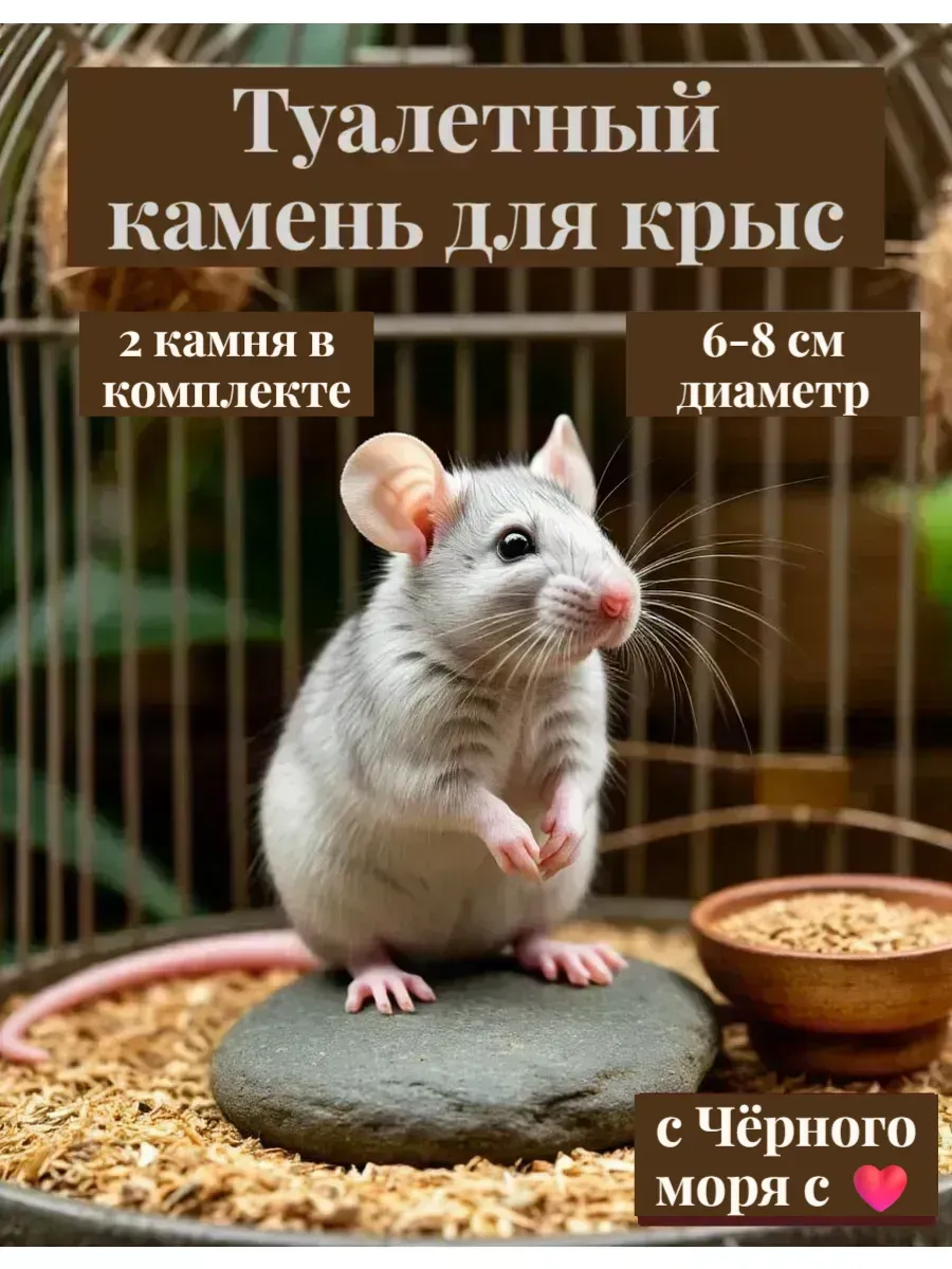 Туалетный камень для крыс и грызунов