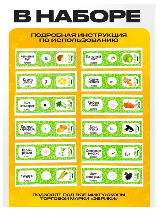 Эврики Набор для опытов «Набор микропрепаратов», растения, белый, фото 2