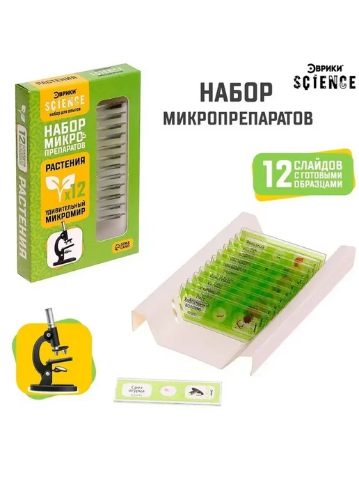 Эврики Набор для опытов «Набор микропрепаратов», растения, белый, фото 6