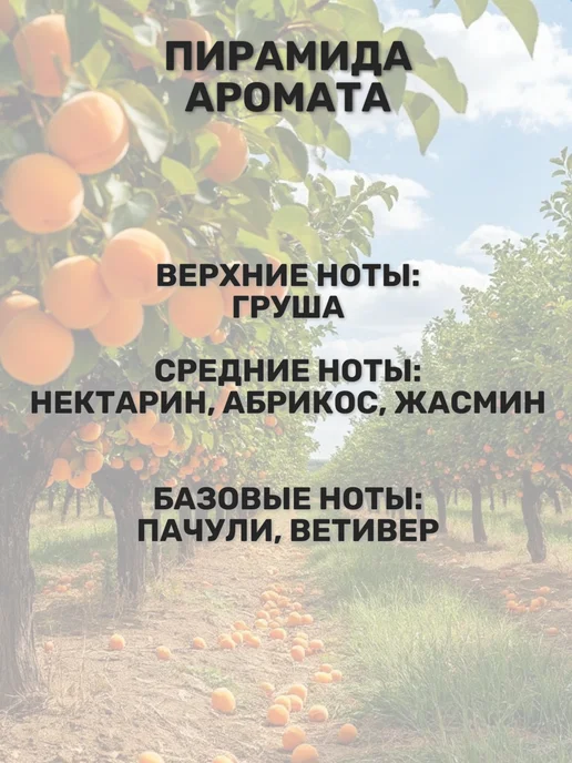 AromaFeel Отдушка Абрикосовая роща 50 гр, 50 г, фото 2