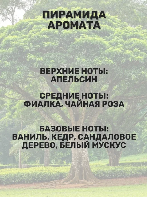 AromaFeel Отдушка Цейлонское дерево 50 гр, 50 г, фото 2