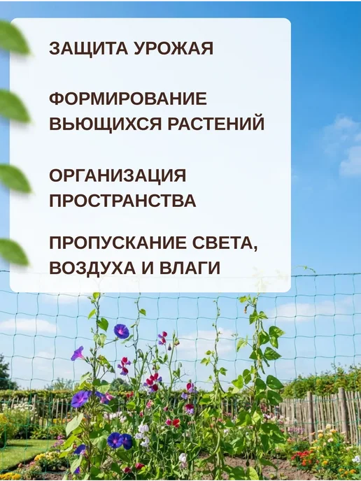 Сетка садовая шпалерная 2х10м, 2x10 м, фото 2