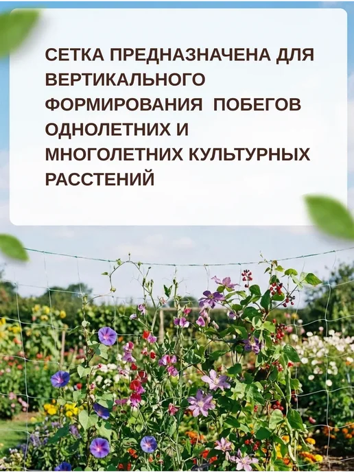Сетка садовая шпалерная 2х10м, 2x10 м, фото 3