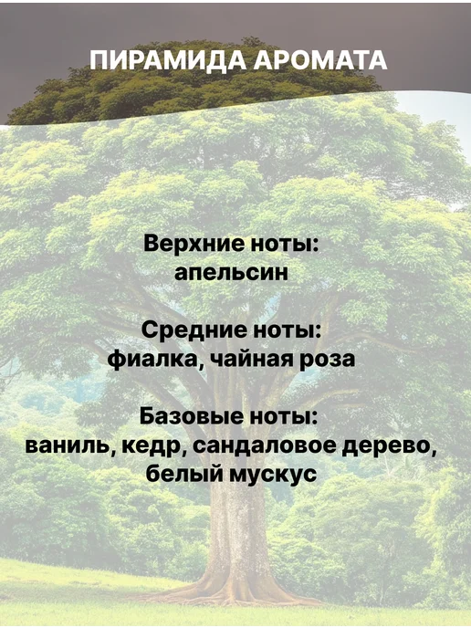 MAOCANDLE Отдушка Цейлонское дерево 50 гр, 50 г, фото 2
