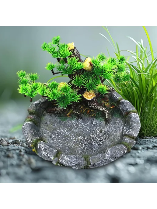 Зоотовар Устойчивая кормушка для черепах, дома и улицы, вариант, фото 4
