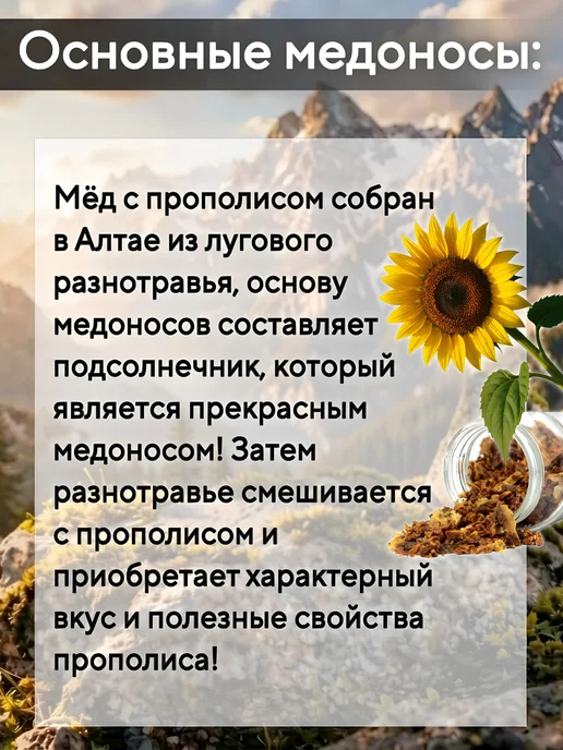 Мед натуральный Алтайский с прополисом 500г 2026г, 500 г, фото 3