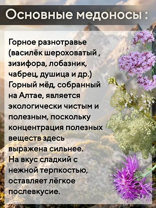 Мед Высокогорный Алтайский 500г 2026г, 500 г, фото 3