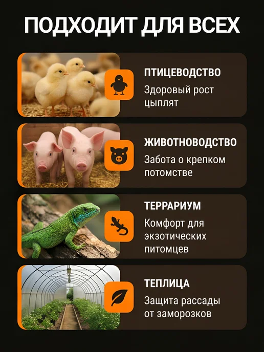 КЭЛЗ. Инфракрасная лампа для цыплят обогрева курятника теплицы 3шт, 3 шт, фото 3