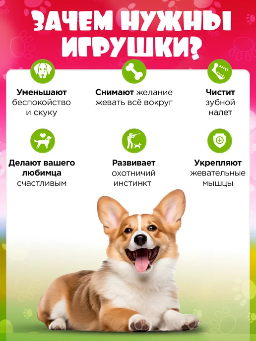 ДжеМиТикс Игрушка для собак авокадо, зеленый, фото 4