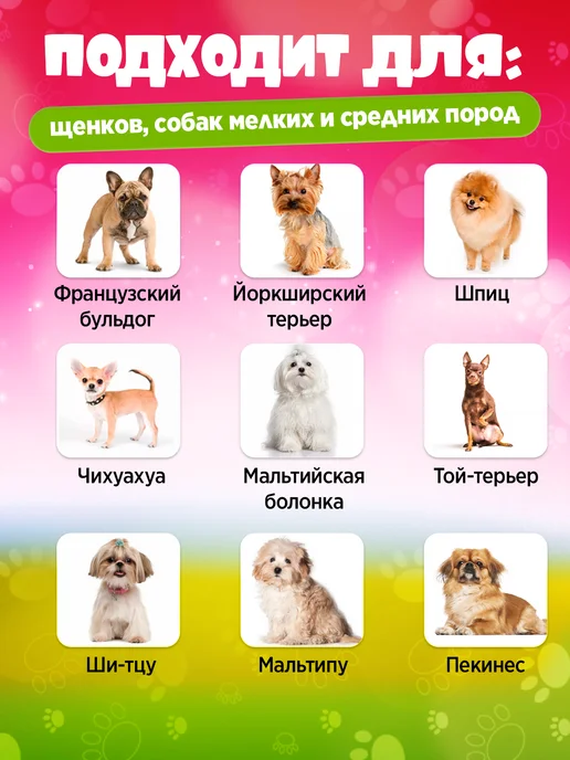 ДжеМиТикс Игрушка для собак авокадо, зеленый, фото 5