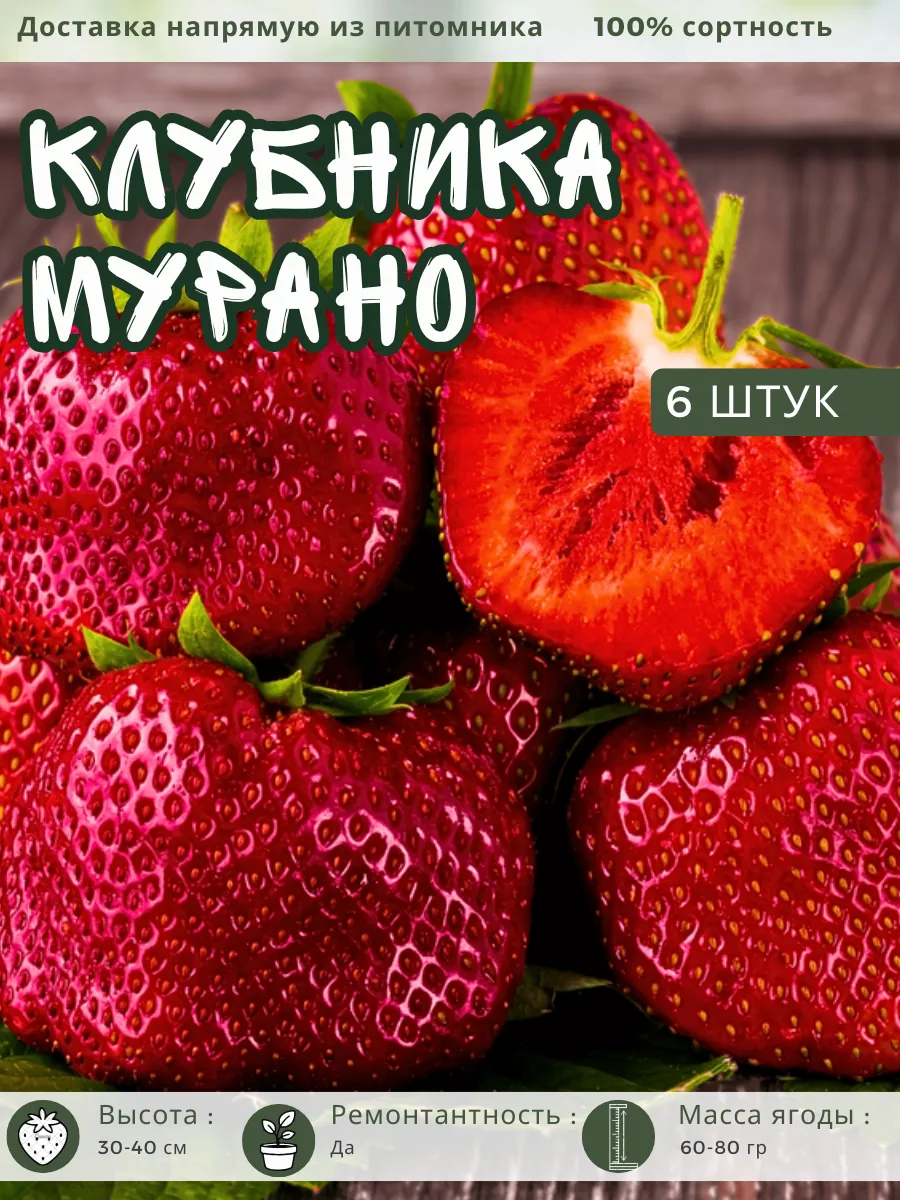 Саженцы Клубники