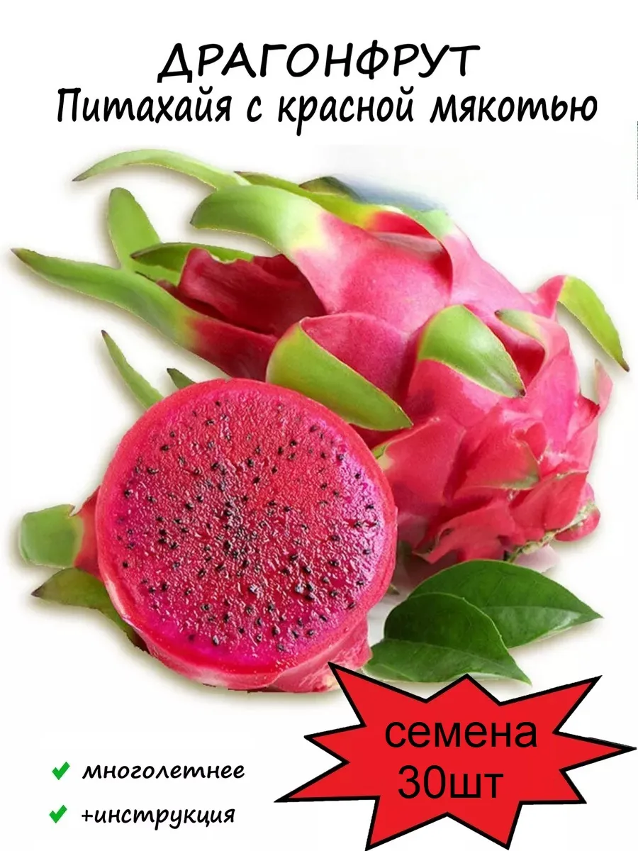 Питахайя, Драгонфрут Фруктовый кактус семена 30шт
