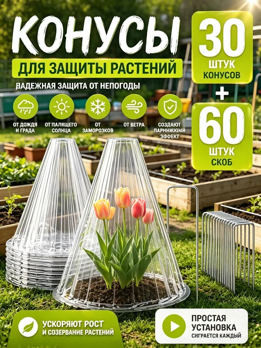 теплица, белый