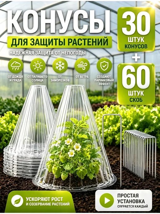 теплица, белый