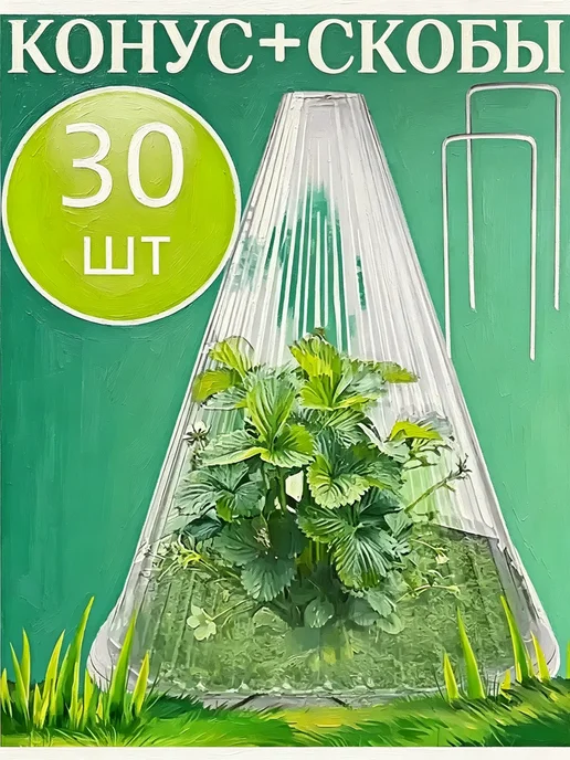 Тепличный конус + кронштейн для рассады, белый