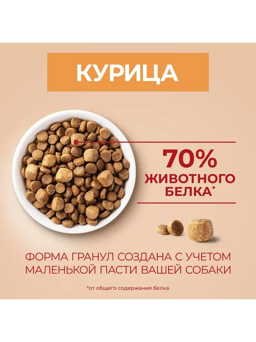 Сухой корм purina One Активных для собак, взрослые, мелкие, 0,6 кг, фото 5