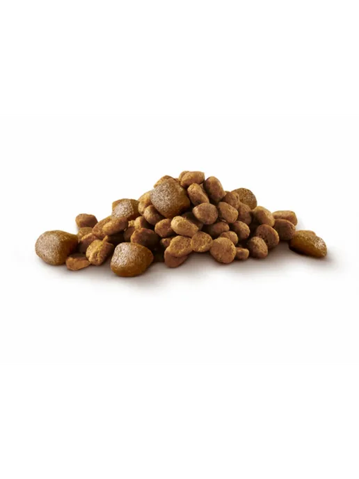 Сухой корм purina One для собак, взрослые, говядина, 0,6 кг, фото 6