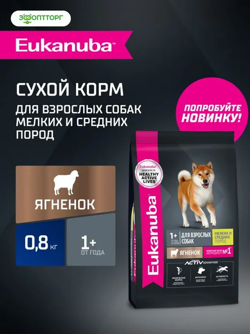 Сухой корм Eukanuba для собак, мелкие, средние, ягненок, 0,8 кг