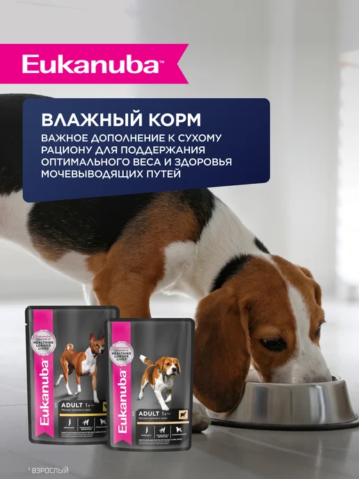 Сухой корм Eukanuba для собак, мелкие, средние, ягненок, 0,8 кг, фото 7