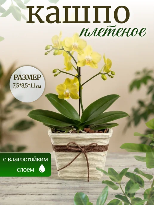 ALK BRAND N1 Кашпо плетеное декоративное для цветов и мелочей, бежевый