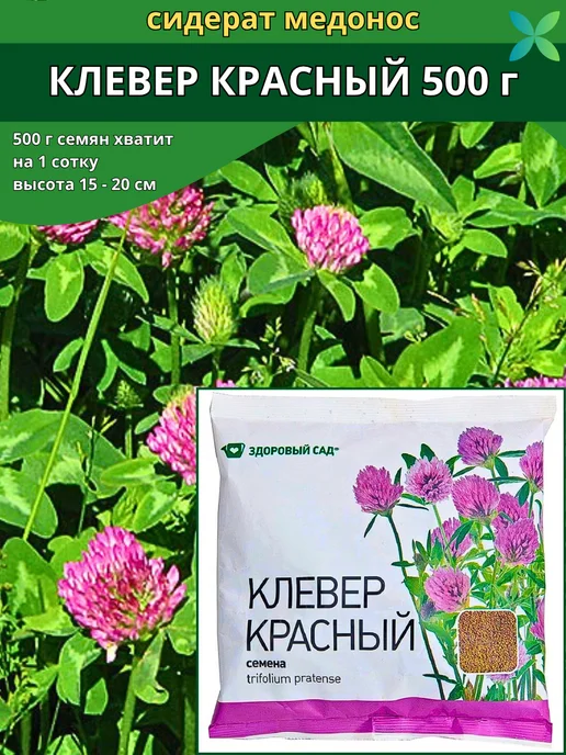 Don Sancho Клевер красный сидерат семена 500г, 500 г