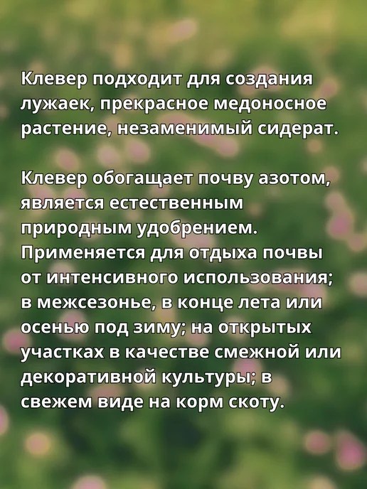 Don Sancho Клевер красный сидерат семена 500г, 500 г, фото 3