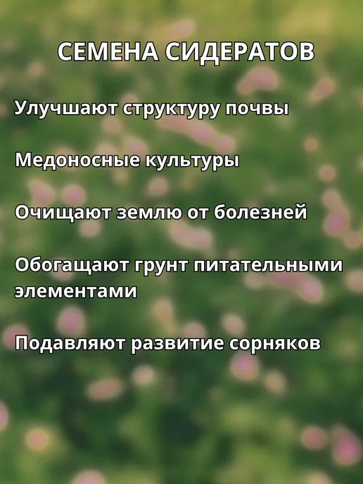 Don Sancho Смесь семена медоносов сидерат 500г, 500 г, фото 2