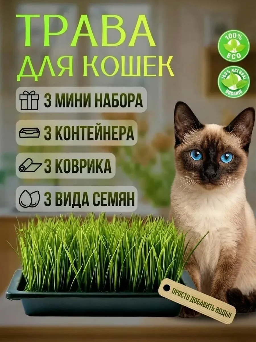 Трава для выращивания-набор