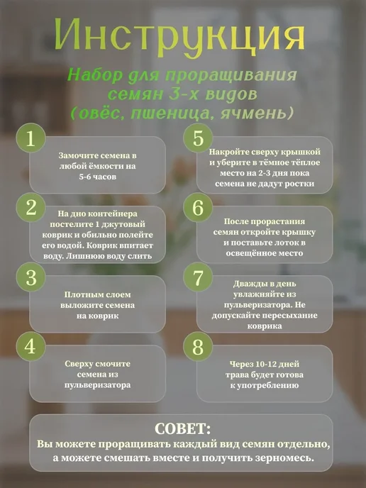 Трава для выращивания-набор, вариант, фото 3