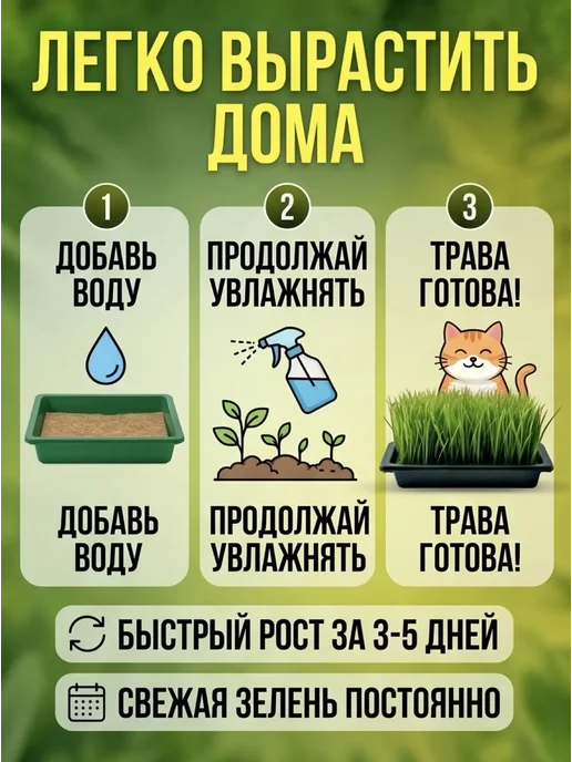 Набор дя выращивания травы для кошек, вариант, фото 2