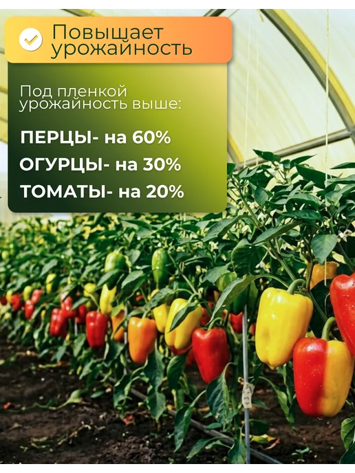 Сад Весты Светлица Пленка Светлица 120мкм 4х5м, 4x5 м, фото 3